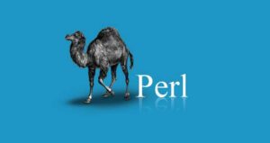 کاربرد زبان برنامه نویسی PERL