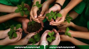 بازاریابی سبز چیست