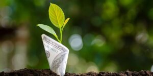 هوش مالی و اهمیت آن در کسب و کار