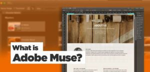 بدون کدنویسی با Adobe Muse وب سایت خود را طراحی کنید