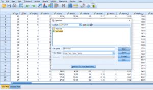 خروجی گرفتن در SPSS