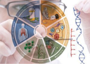 مهندسی ژنتیک و کاربرد های آن 4 کاربردهای مهندسی ژنتیک