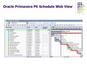 project portfolio management comparison of microsoft epm and primavera p6 v7 ppt 1 16 638