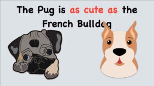 صفت تساوی در انگلیسی