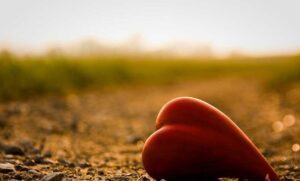 اصطلاحات عاشقانه به زبان آلمانی