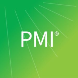 شاخص PMI در مدیریت پروژه