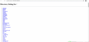 چگونه با پایتون تست نفوذ بگیریم 4 انجام تست نفوذ با پایتون