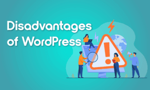 نقاط ضعف وردپرس