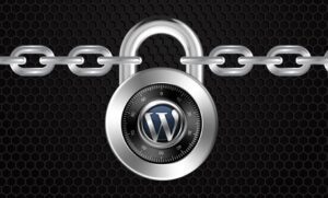 ورود امن وردپرس