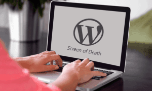 خطای صفحه سفید وردپرس