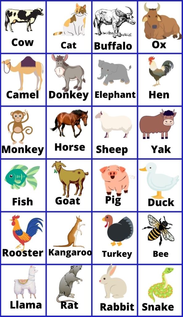 در تصویر زیر اسم حیوانات اهلی معروف به انگلیسی آورده شده است: