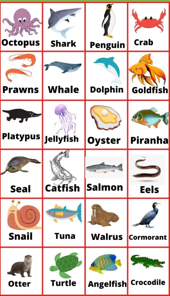 اسم حیوانات آبی و دو زیست به انگلیسی