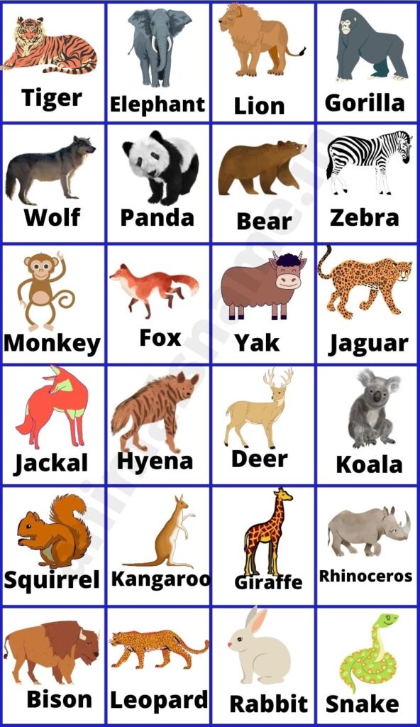 اسم حیوانات وحشی به انگلیسی