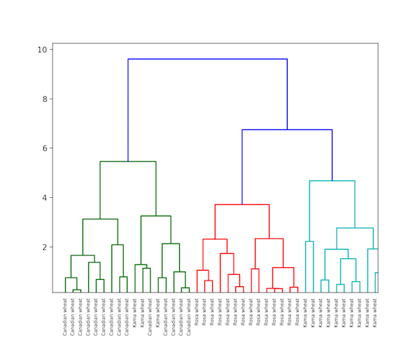 Dendrogram output of hierarchical clustering algorithm