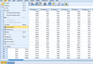 وارد کردن اطلاعات در SPSS
