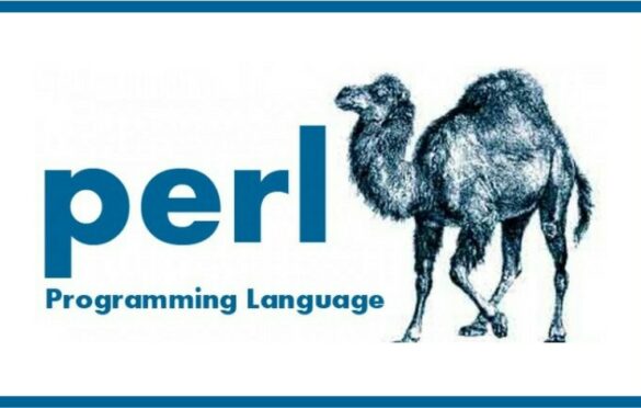 آیا برنامه نویسی پرل ارزش یادگیری دارد؟