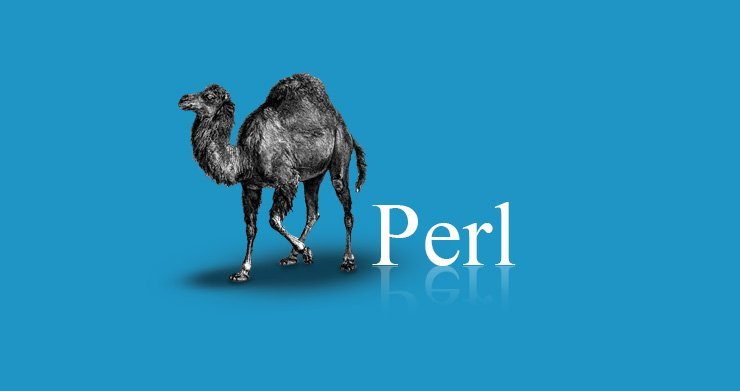 دلیل استفاده از زبان برنامه نویسی Perl