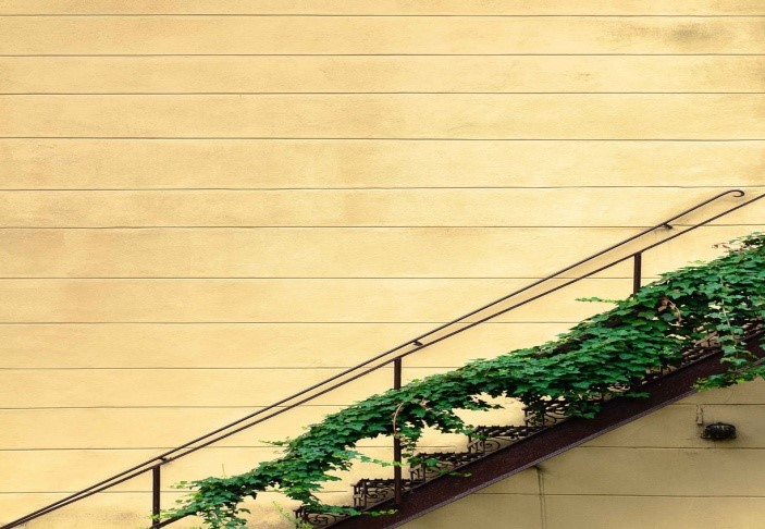 خطوط افقی برای افزایش میزان علاقه به ترکیبات