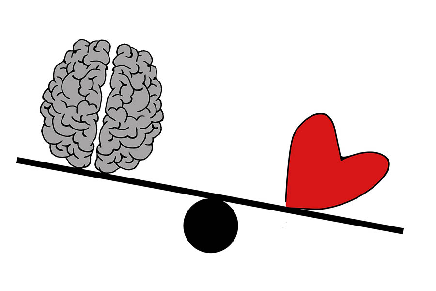 IQ و EQ چه تفاوتی با یکدیگر دارند؟ 3 تصویر 3