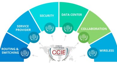 ccie چیست