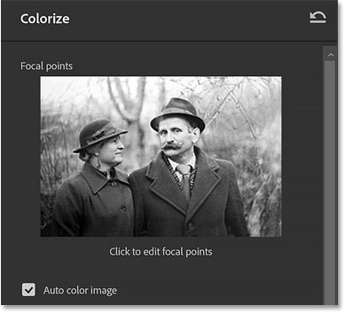 پیش نمایش تصویر در بالای گزینه های Colorize در فتوشاپ