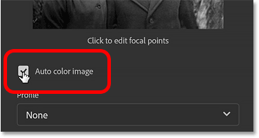 گزینه تصویر رنگ خودکار در فیلتر Colorize فتوشاپ