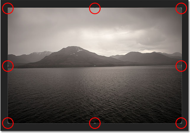نسخه CS6 فتوشاپ به طور خودکار اطراف تصویر را کادربندی کند