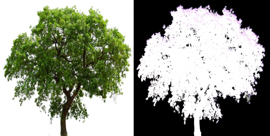 آموزش ساخت متریال سفارشی درخت با نقشه مواد در اتوکد
