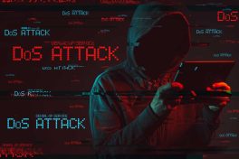 چگونه از حملات ddos (دیداس) در امان بمانیم؟