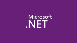 از زبان برنامه نویسی .net چقدر می‌دانید؟