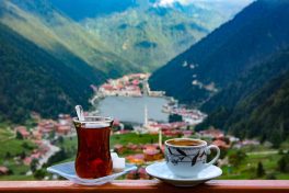 جاهای دیدنی ترابزون