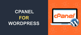 آموزش نصب قالب وردپرس در CPanel
