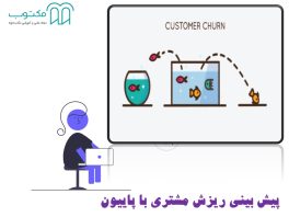 churn-python