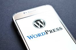 worpress logo
