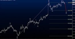 امواج الیوت به سبک رابرت ماینر