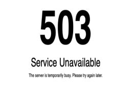 خطای 503 در وردپرس
