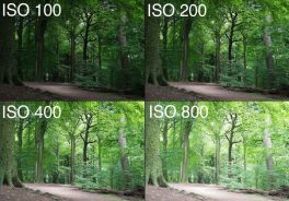 iso در عکاسی چیست