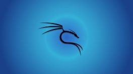 آموزش نصب کالی لینوکس