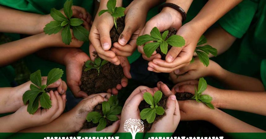 بازاریابی سبز چیست