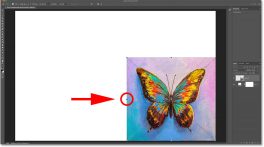 scale-image-non-proportionally