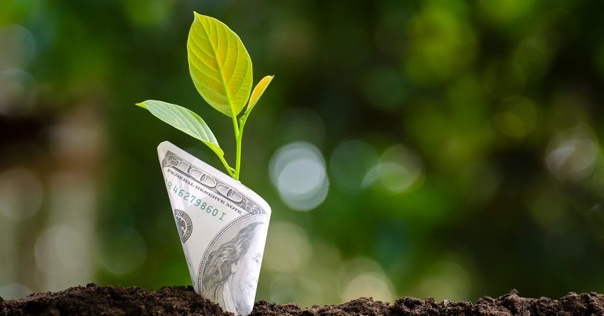 هوش مالی و اهمیت آن در کسب و کار