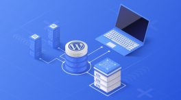 what-can-wordpress-hosting-do-for-your-business