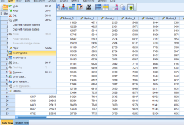 وارد کردن اطلاعات در SPSS
